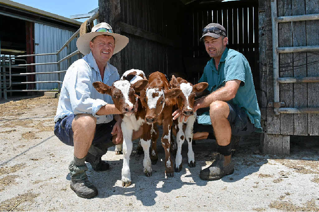 THREE OF A KIND: Brothers Kevin and Shane Bourke with the triplets born on Sunday morning at Gladfield.